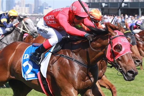 redzel stakes tips